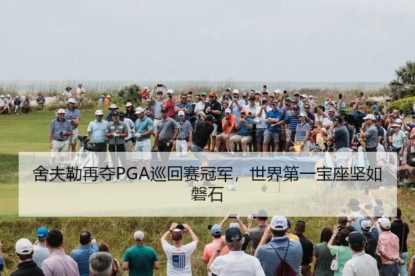 she-fu-lei-zai-duo-xun-hui-sai-guan-jun-shi-jie-di-yi-bao-zuo-jian-ru-pan-shi-3-293.jpg