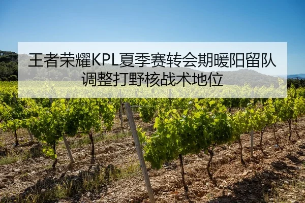 王者荣耀KPL夏季赛转会期暖阳留队调整打野核战术地位