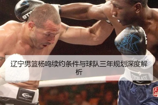 liao-ning-nan-lan-yang-ming-xu-yue-tiao-jian-yu-qiu-dui-san-nian-gui-hua-shen-du-jie-xi-2-632.jpg