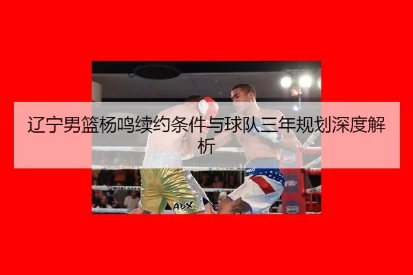 辽宁男篮杨鸣续约条件与球队三年规划深度解析