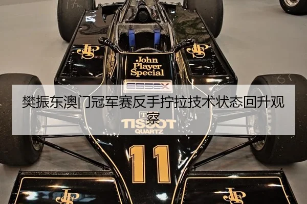 樊振东澳门冠军赛反手拧拉技术状态回升观察