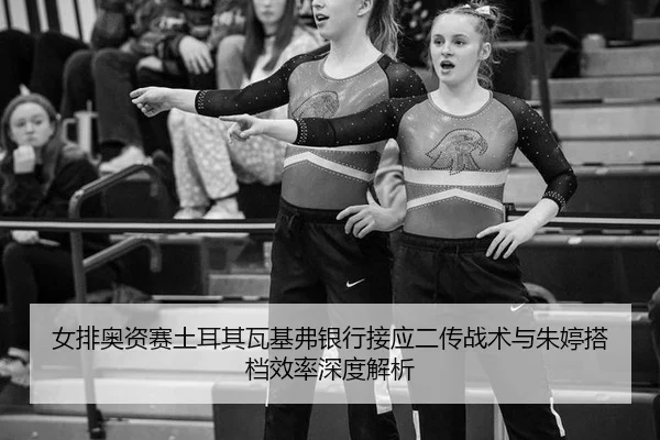 nv-pai-ao-zi-sai-tu-er-qi-wa-ji-fu-yin-hang-jie-ying-er-chuan-zhan-shu-yu-zhu-ting-da-dang-xiao-lv-shen-du-jie-xi-3-568.jpg