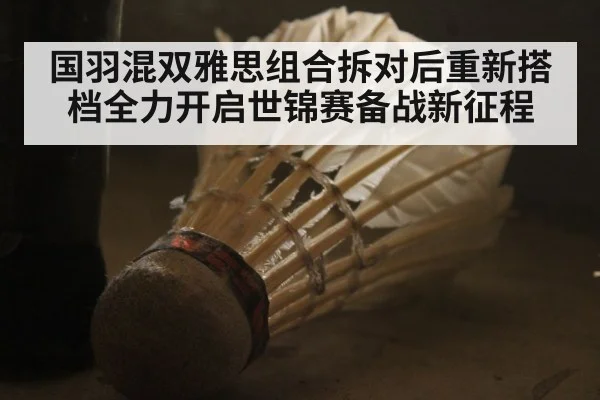 国羽混双雅思组合拆对后重新搭档全力开启世锦赛备战新征程