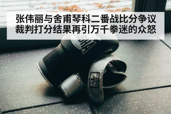 张伟丽与舍甫琴科二番战比分争议裁判打分结果再引万千拳迷的众怒