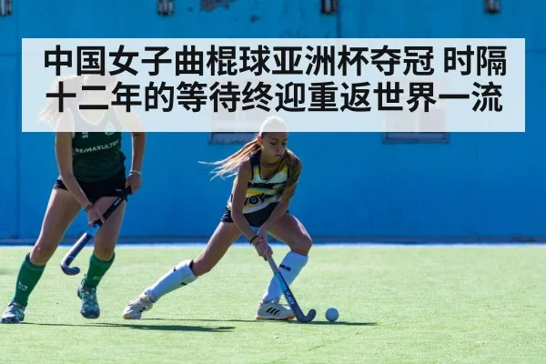 field hockey match action